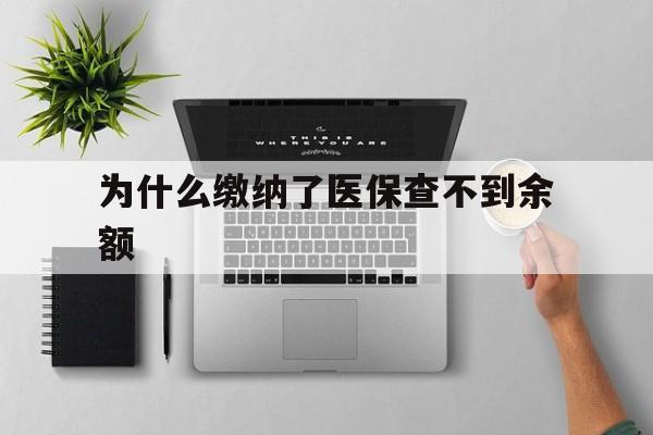 丽江最新为什么缴纳了医保查不到余额方法分析(最方便真实的丽江医保交了费怎么查不到方法)